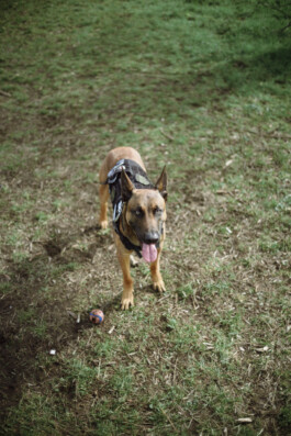 TERRAFORMER Productions