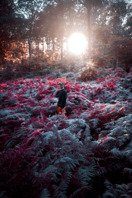 TERRAFORMER Productions