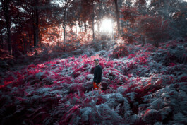 TERRAFORMER Productions