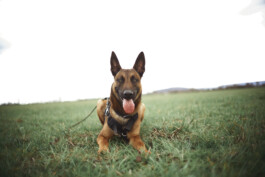 TERRAFORMER Productions