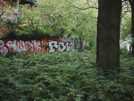 TERRAFORMER Productions