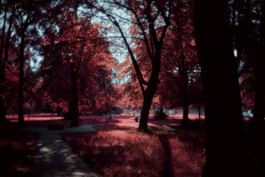 TERRAFORMER Productions