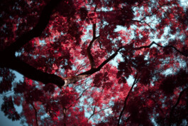 TERRAFORMER Productions