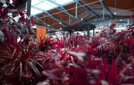 TERRAFORMER Productions