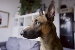 TERRAFORMER Productions